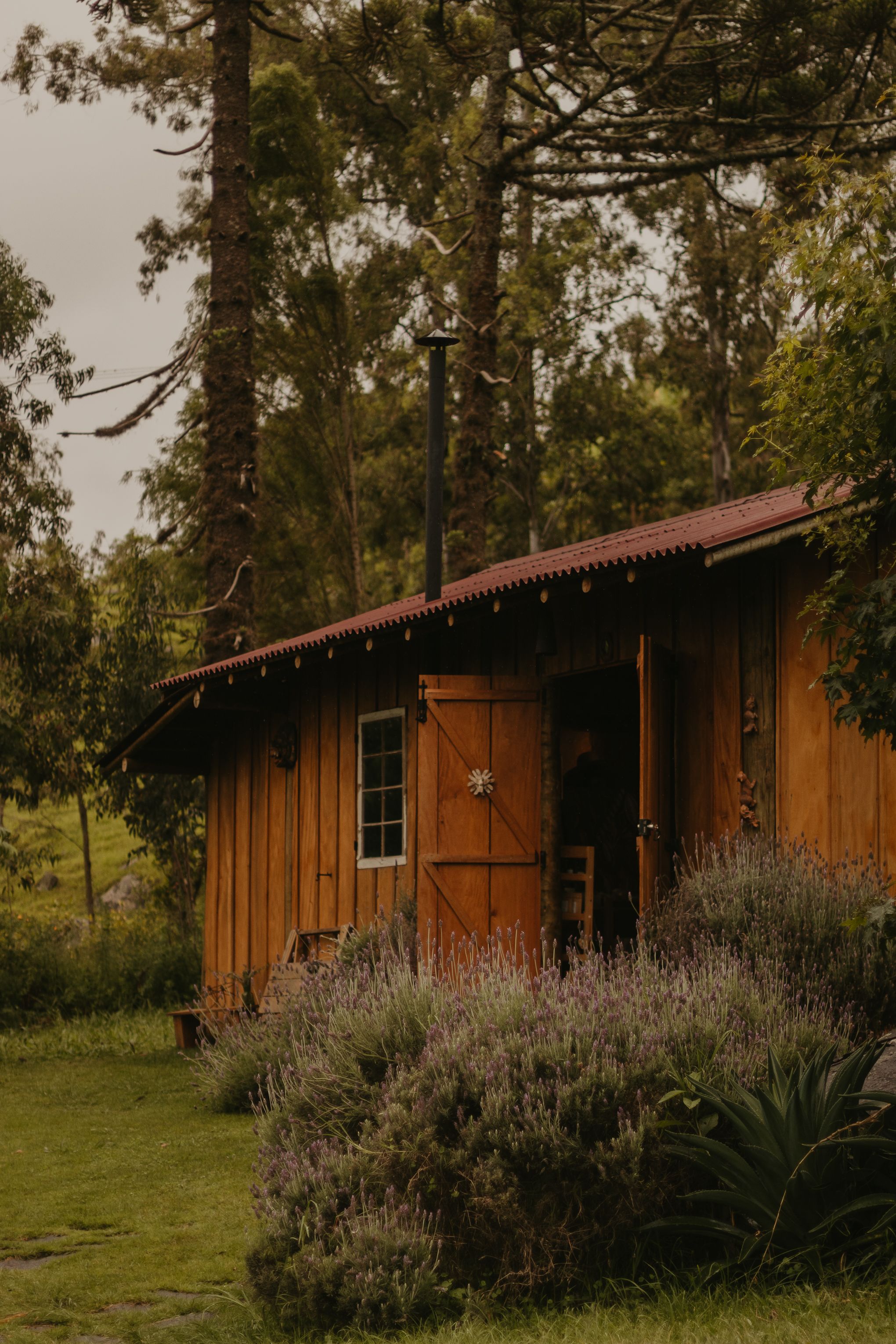 Cosy cabin interior with a wood stove